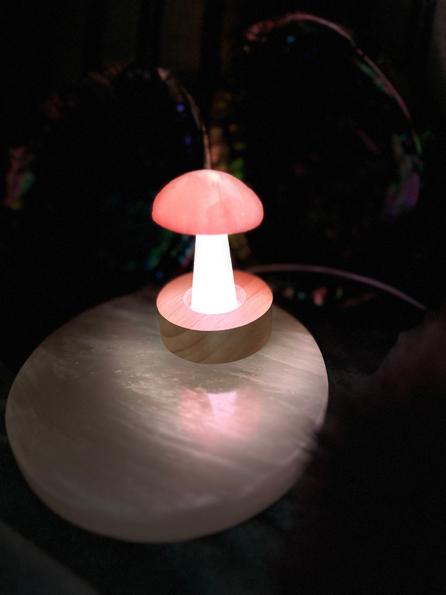 Pure Selenite Crystal Mushrooms! Tangerine and white Selenite table mushrooms ~ Whimsical and adorable table top decor!