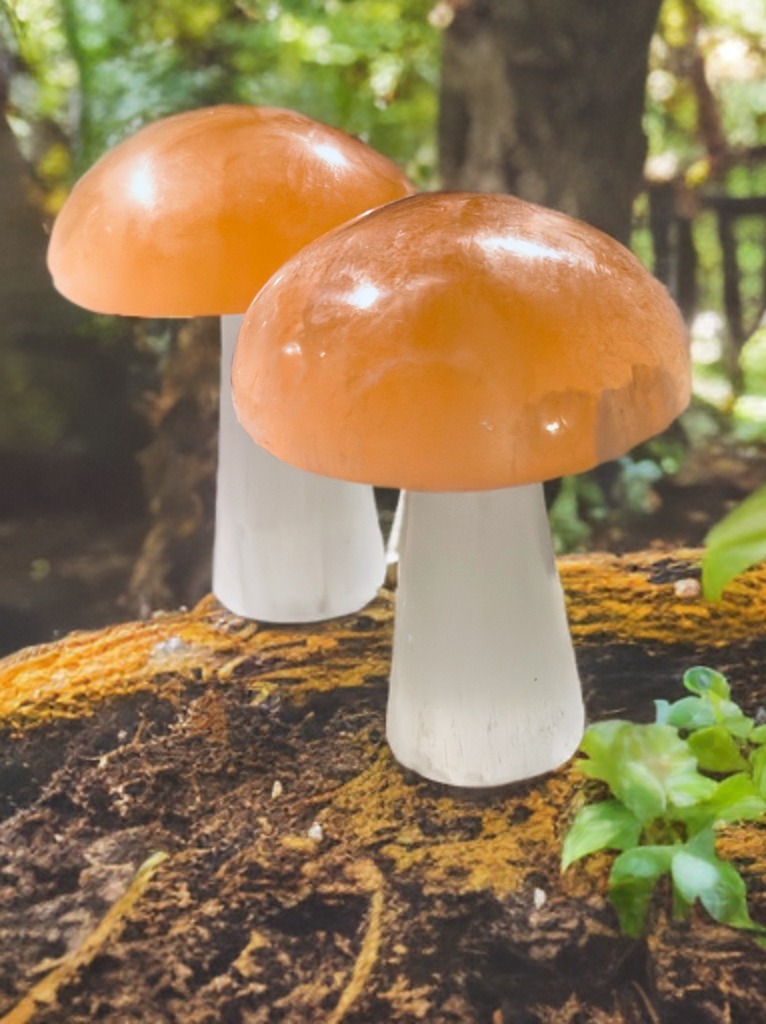 Pure Selenite Crystal Mushrooms! Tangerine and white Selenite table mushrooms ~ Whimsical and adorable table top decor!