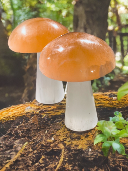 Pure Selenite Crystal Mushrooms! Tangerine and white Selenite table mushrooms ~ Whimsical and adorable table top decor!