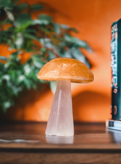 Pure Selenite Crystal Mushrooms! Tangerine and white Selenite table mushrooms ~ Whimsical and adorable table top decor!