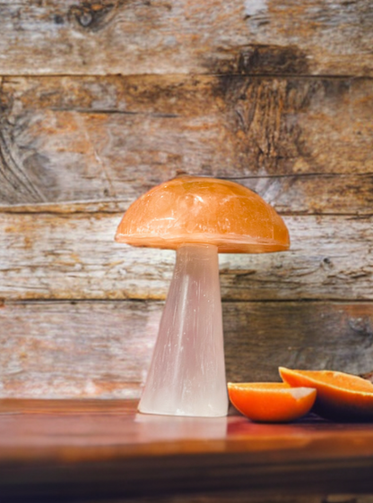 Pure Selenite Crystal Mushrooms! Tangerine and white Selenite table mushrooms ~ Whimsical and adorable table top decor!