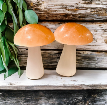 Pure Selenite Crystal Mushrooms! Tangerine and white Selenite table mushrooms ~ Whimsical and adorable table top decor!