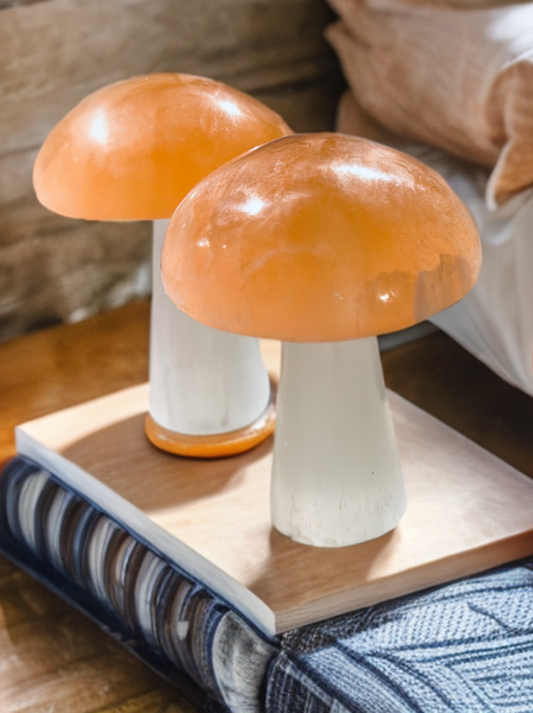 Pure Selenite Crystal Mushrooms! Tangerine and white Selenite table mushrooms ~ Whimsical and adorable table top decor!