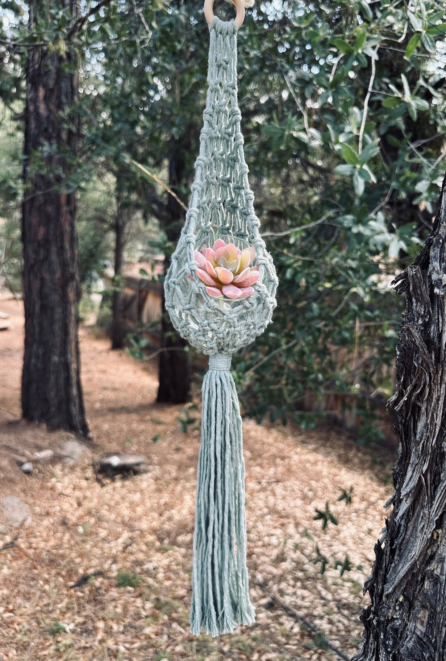 Small teardrop macrame succulent plant hanger. House warming, birthday gift.