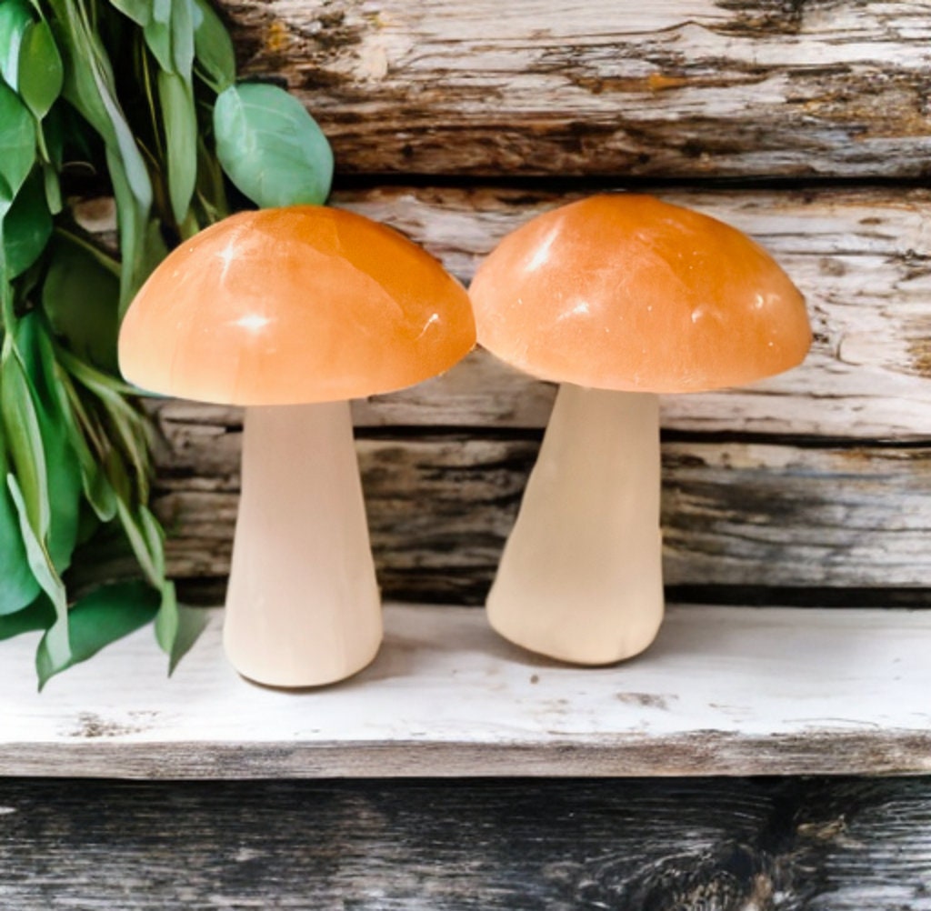 Moroccan Selenite two tone mushroom home decor, crystal metaphysical unique gift calming natural healing meditation practice anti anxiety