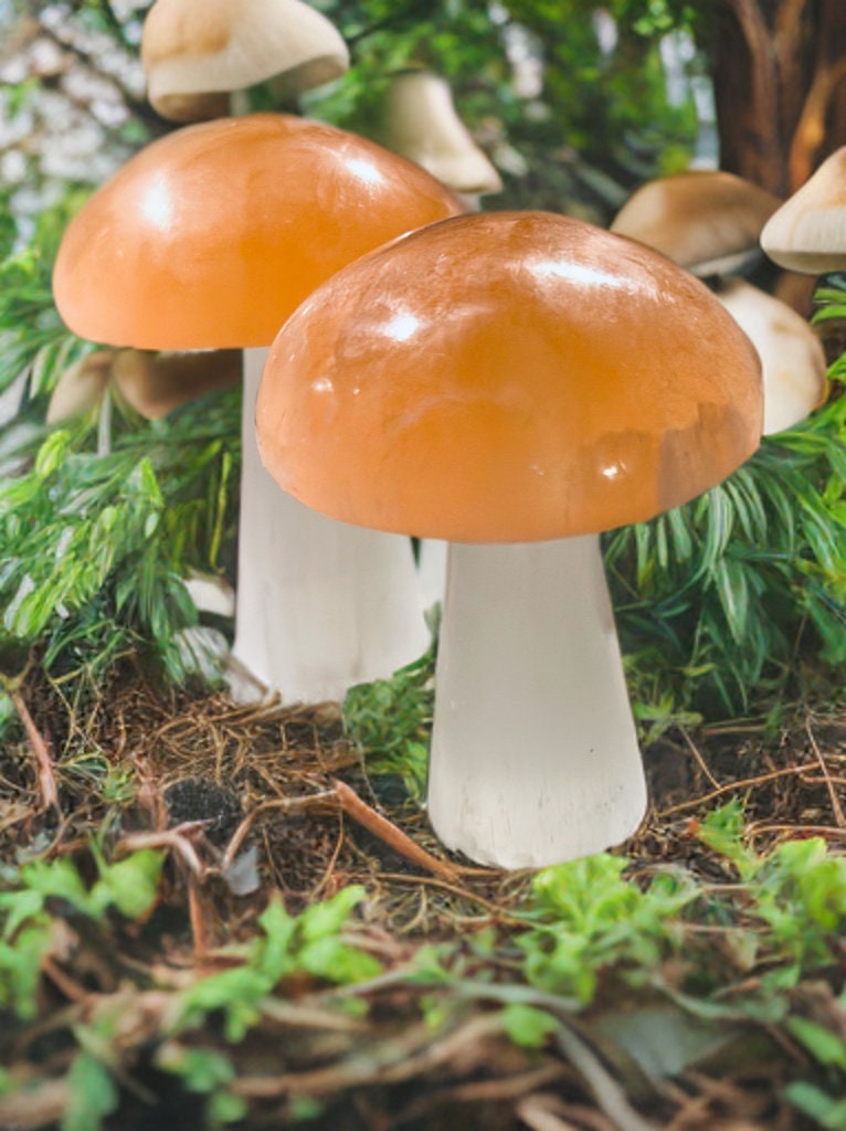 Moroccan Selenite two tone mushroom home decor, crystal metaphysical unique gift calming natural healing meditation practice anti anxiety