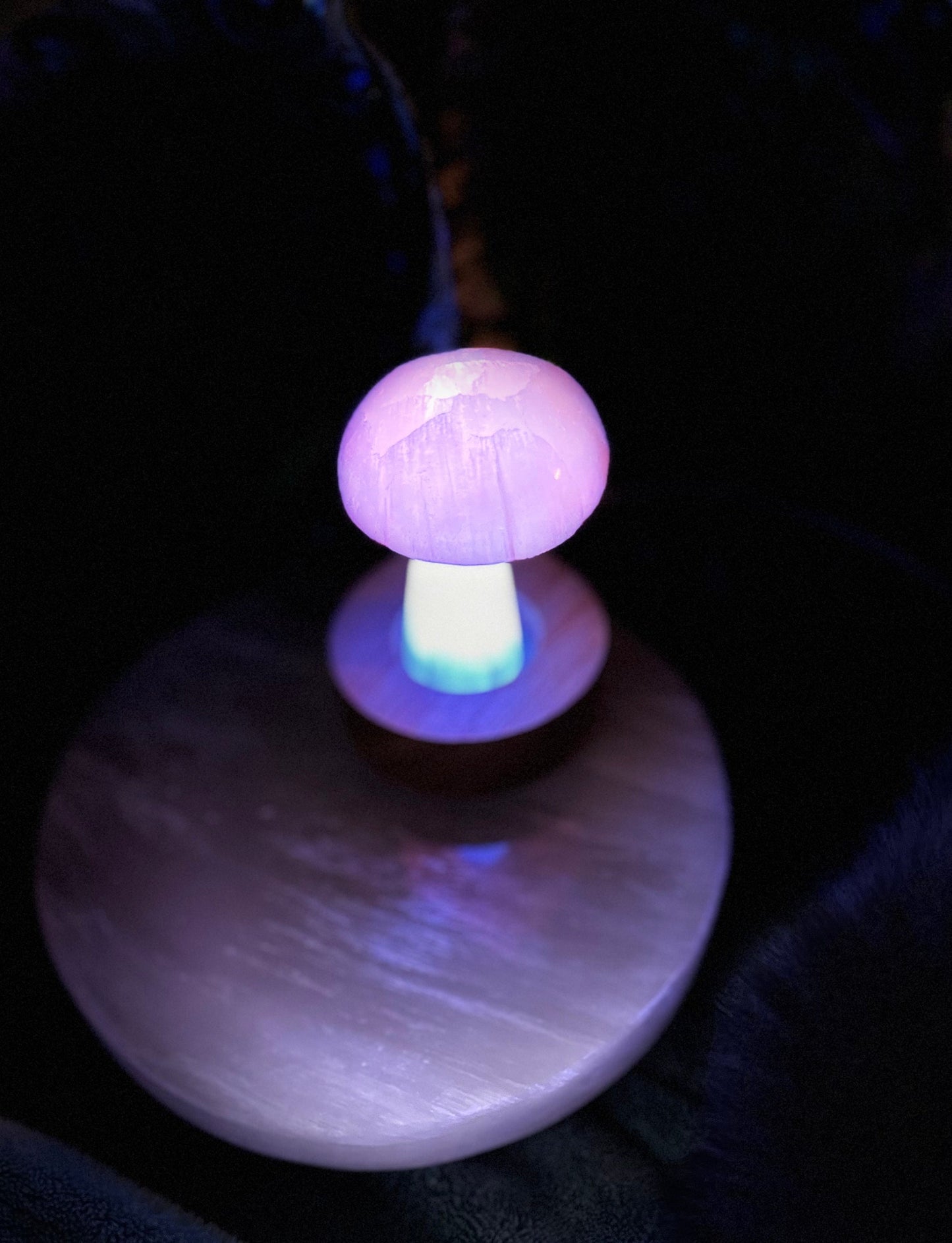 Moroccan Selenite two tone mushroom home decor, crystal metaphysical unique gift calming natural healing meditation practice anti anxiety